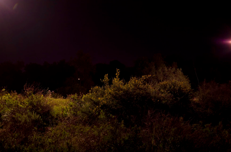 Carousel Image number 7